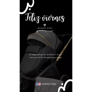 Coche Moisés Europeo