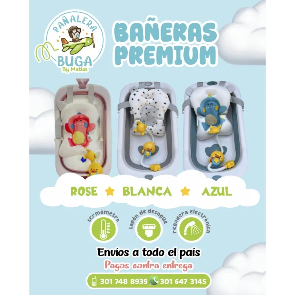 a_Mesa de trabajo 1 a_Mesa de trabajo 1