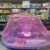 rosado