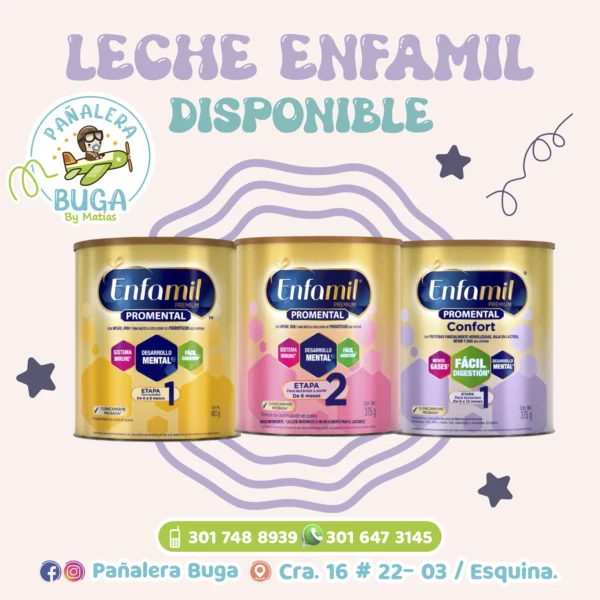 2_Mesa de trabajo 1 2_Mesa de trabajo 1