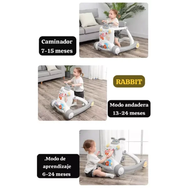 2-mesa-de-trabajo-1-696f9594c68e7 2-mesa-de-trabajo-1-696f9594c68e7