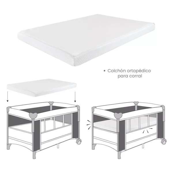 whatsapp-image-2026-02-22-at-10411-pm-699b45f93a883 whatsapp-image-2026-02-22-at-10411-pm-699b45f93a883